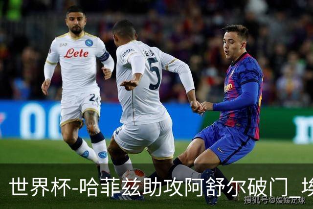 世界杯-哈菲兹助攻阿舒尔破门 埃及半场暂1-0澳大利亚